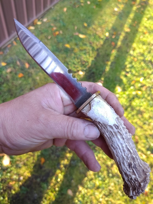 Knife 33 - Hidden Tang Antler Handled Hunter